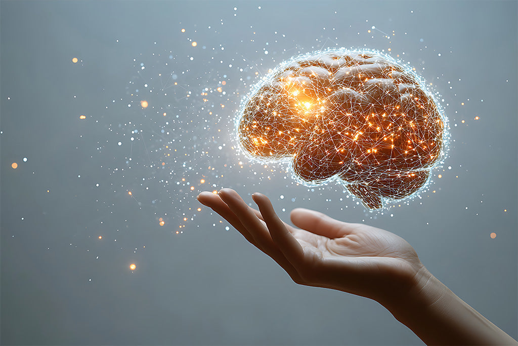 B Complex For Brain Function: How It Supports Memory And Focus
