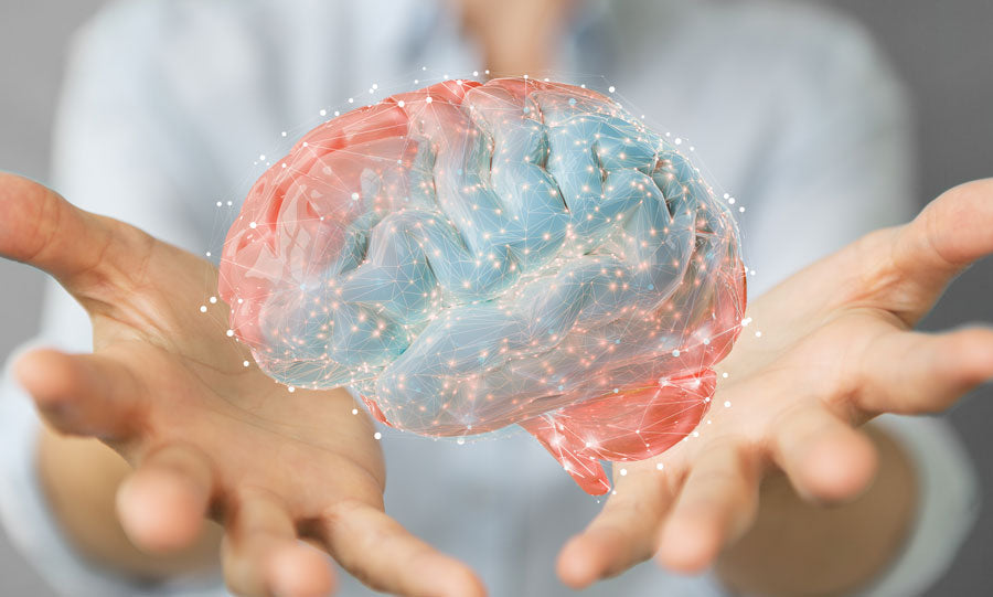 7 Best Brain Supplements for Cognitive Enhancement