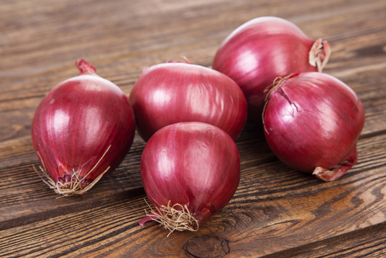 Exploring The Immune-Boosting Properties Of Quercetin