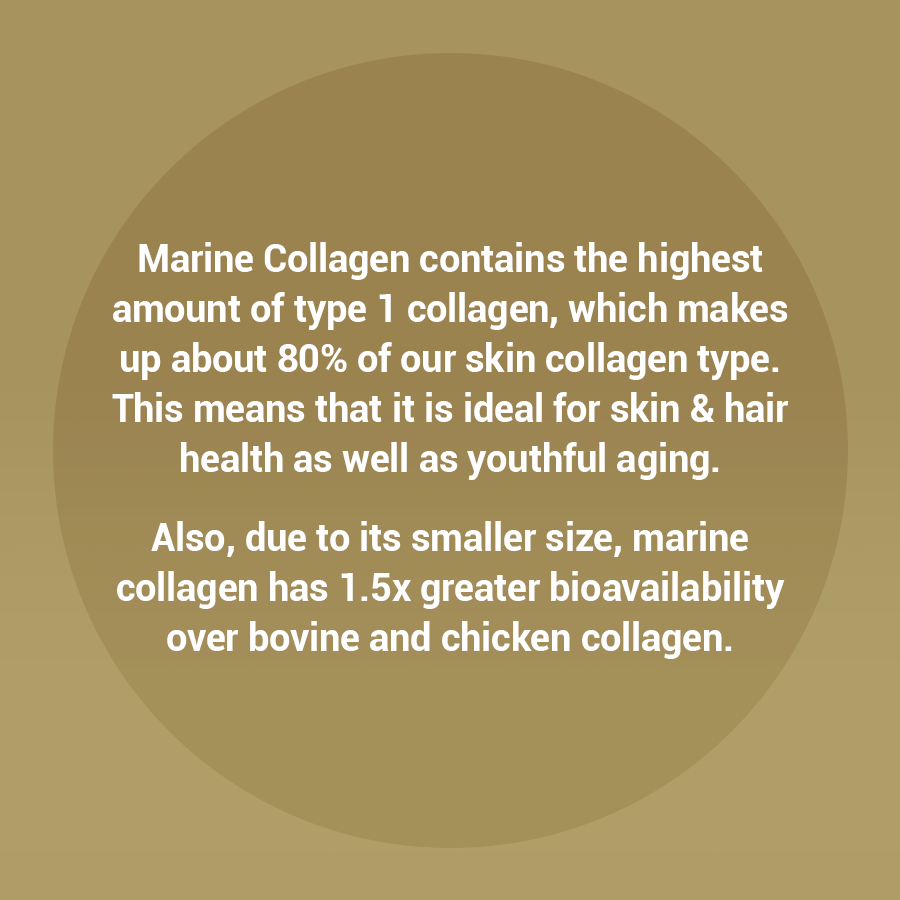 Marine Collagen