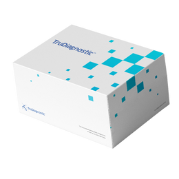 Staff: TruAge Epigenetic Age Test